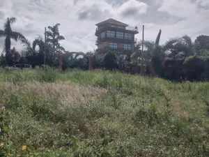 4 Acres of Prime Lake View Land at Garuga