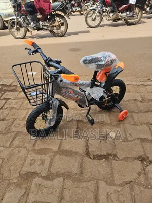Orange Bicycle/Kids Growth