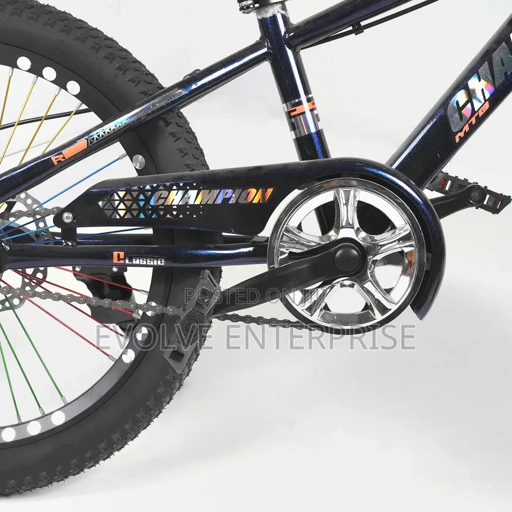 Sporty Kids Bicycle/Mountain Bike – 20" Wheels