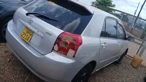 Toyota Corolla RunX 2007 Silver