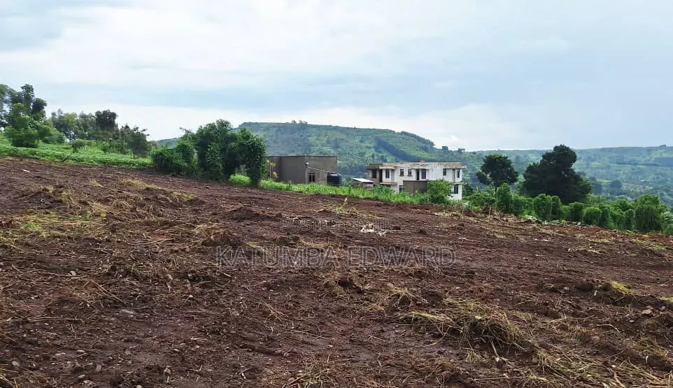 50x100ft Titled Plots For Sale In Namayumba Bujjimba Kitayita Estate