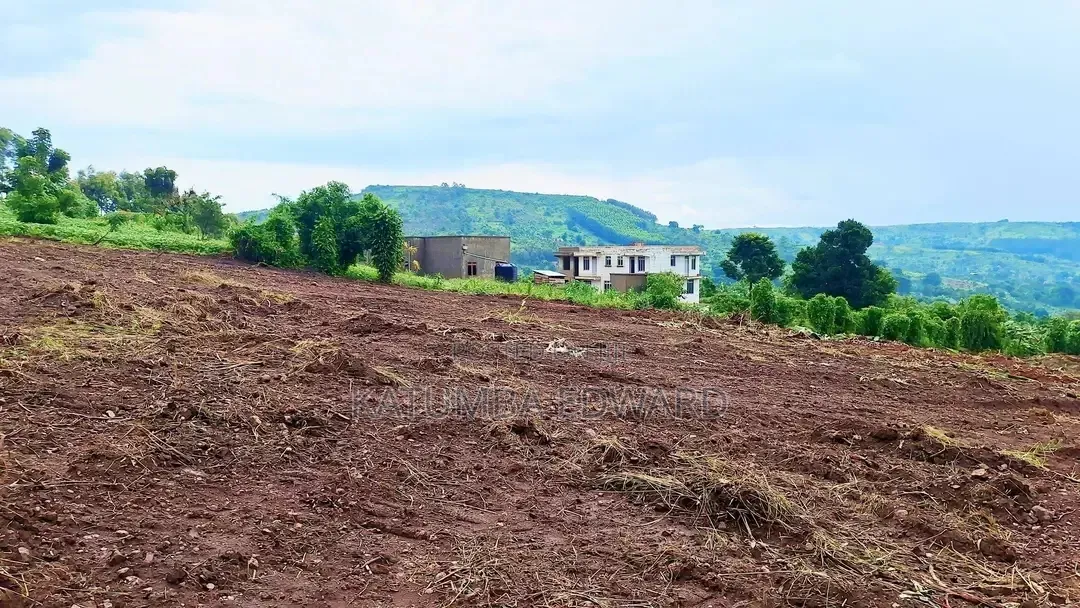 50x100ft Titled Plots For Sale In Namayumba Bujjimba Kitayita Estate