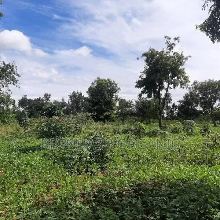 Land for Sale in Nakaseke District