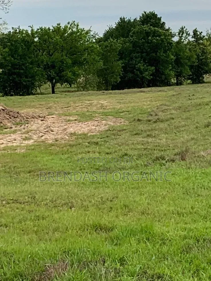 Land for Sale in Nakaseke District
