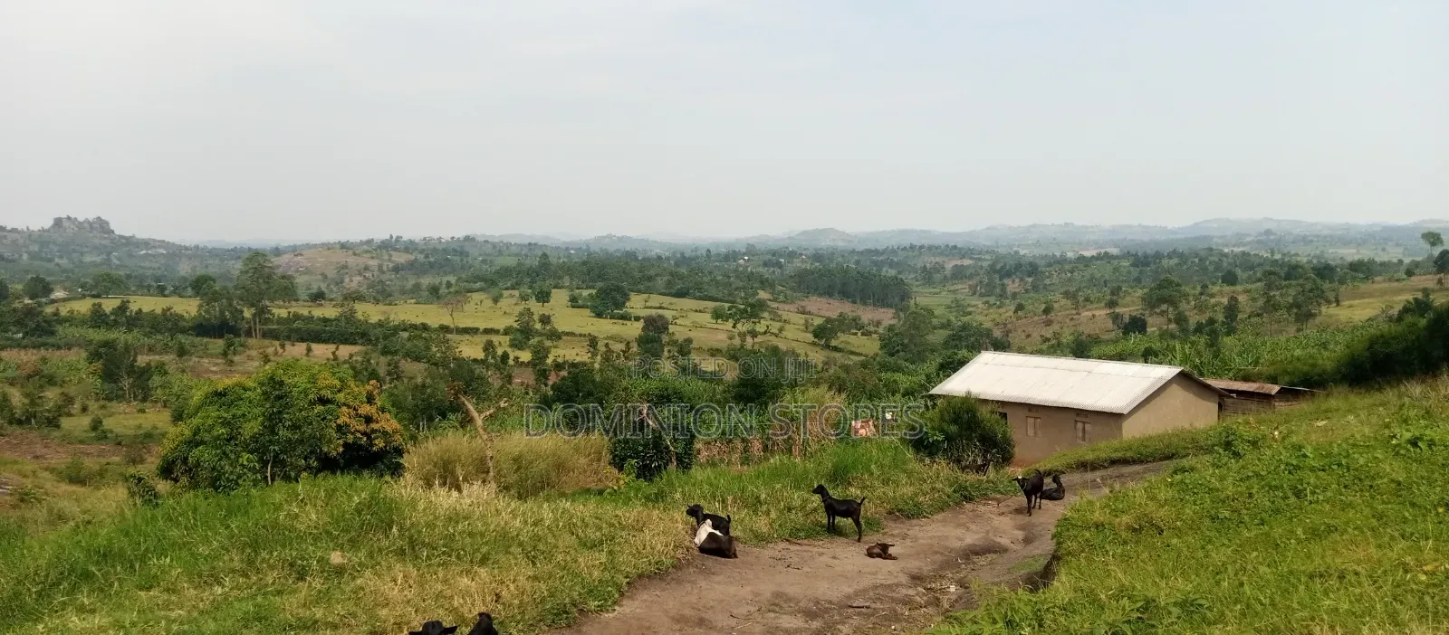 Land in Seguku Kasenge Nakirama