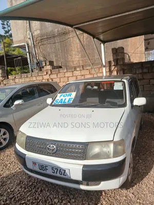 Toyota Probox 1.3 DX 2WD 2013 Silver