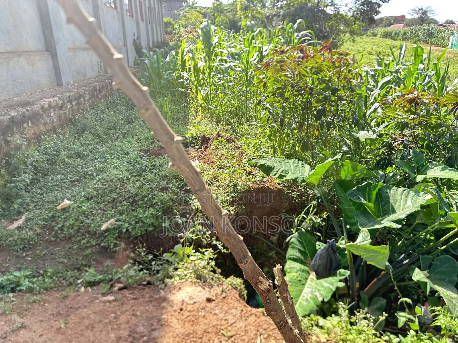 Freehold Titled Land