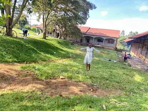 Freehold Titled Land