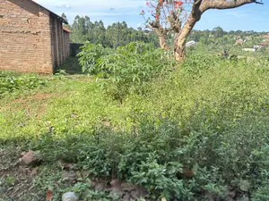 Freehold Titled Land