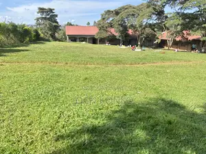 Freehold Titled Land