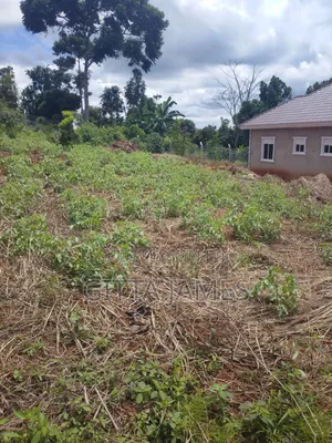 50 by 100ft on Quick Sale in Kisoga Town Mukono With Ready Title