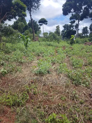 50 by 100ft on Quick Sale in Kisoga Town Mukono With Ready Title