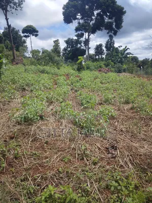 50 by 100ft on Quick Sale in Kisoga Town Mukono With Ready Title