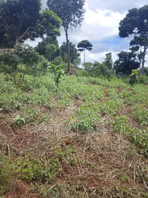 50 by 100ft on Quick Sale in Kisoga Town Mukono With Ready Title