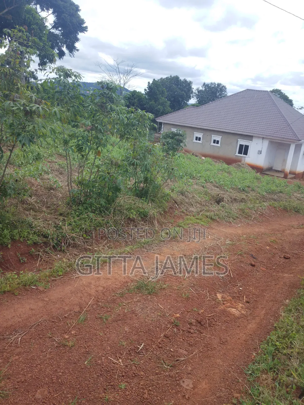 100by100ft Land on Sale in Kisoga Mukono Private Mailo Land Title