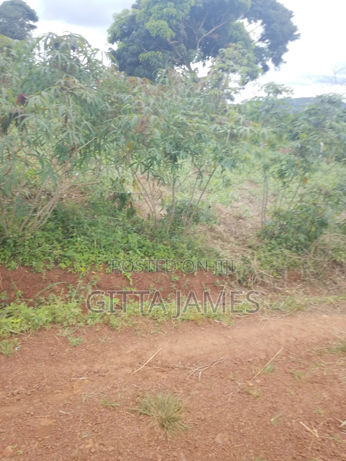 100by100ft Land on Sale in Kisoga Mukono Private Mailo Land Title