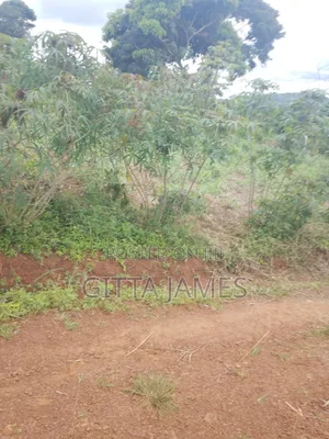 100by100ft Land on Sale in Kisoga Mukono Private Mailo Land Title