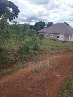 100by100ft Land on Sale in Kisoga Mukono Private Mailo Land Title