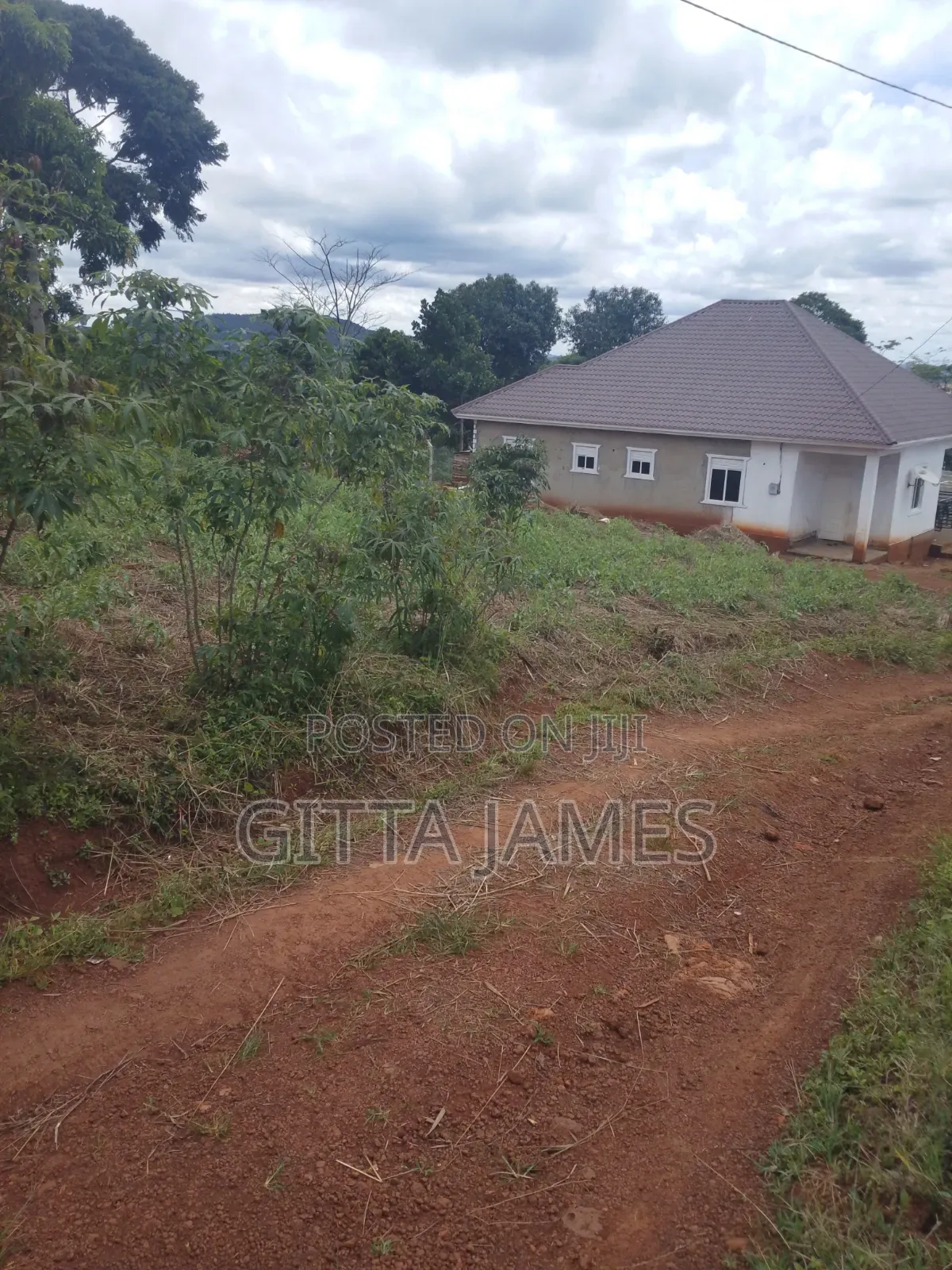 100by100ft Land on Sale in Kisoga Mukono Private Mailo Land Title