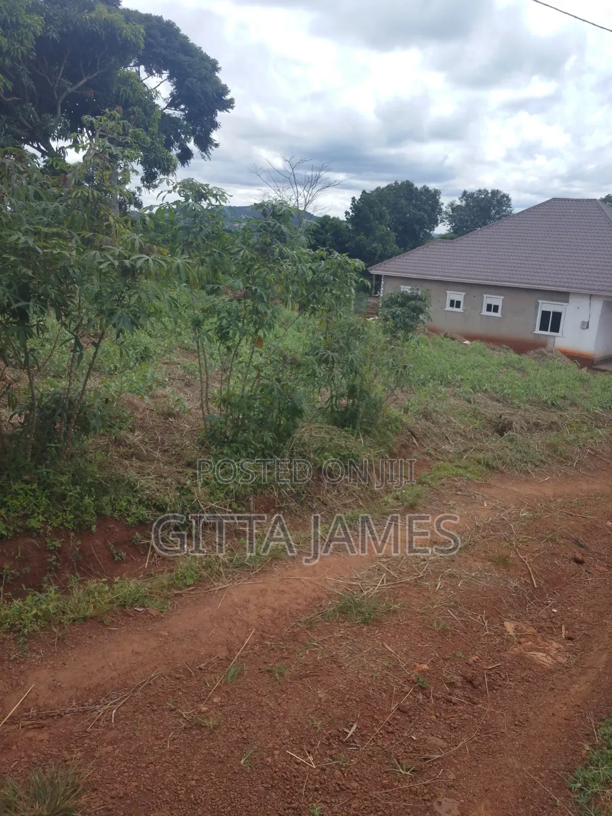100by100ft Land on Sale in Kisoga Mukono Private Mailo Land Title