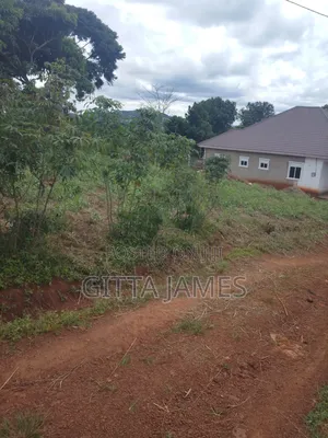 100by100ft Land on Sale in Kisoga Mukono Private Mailo Land Title