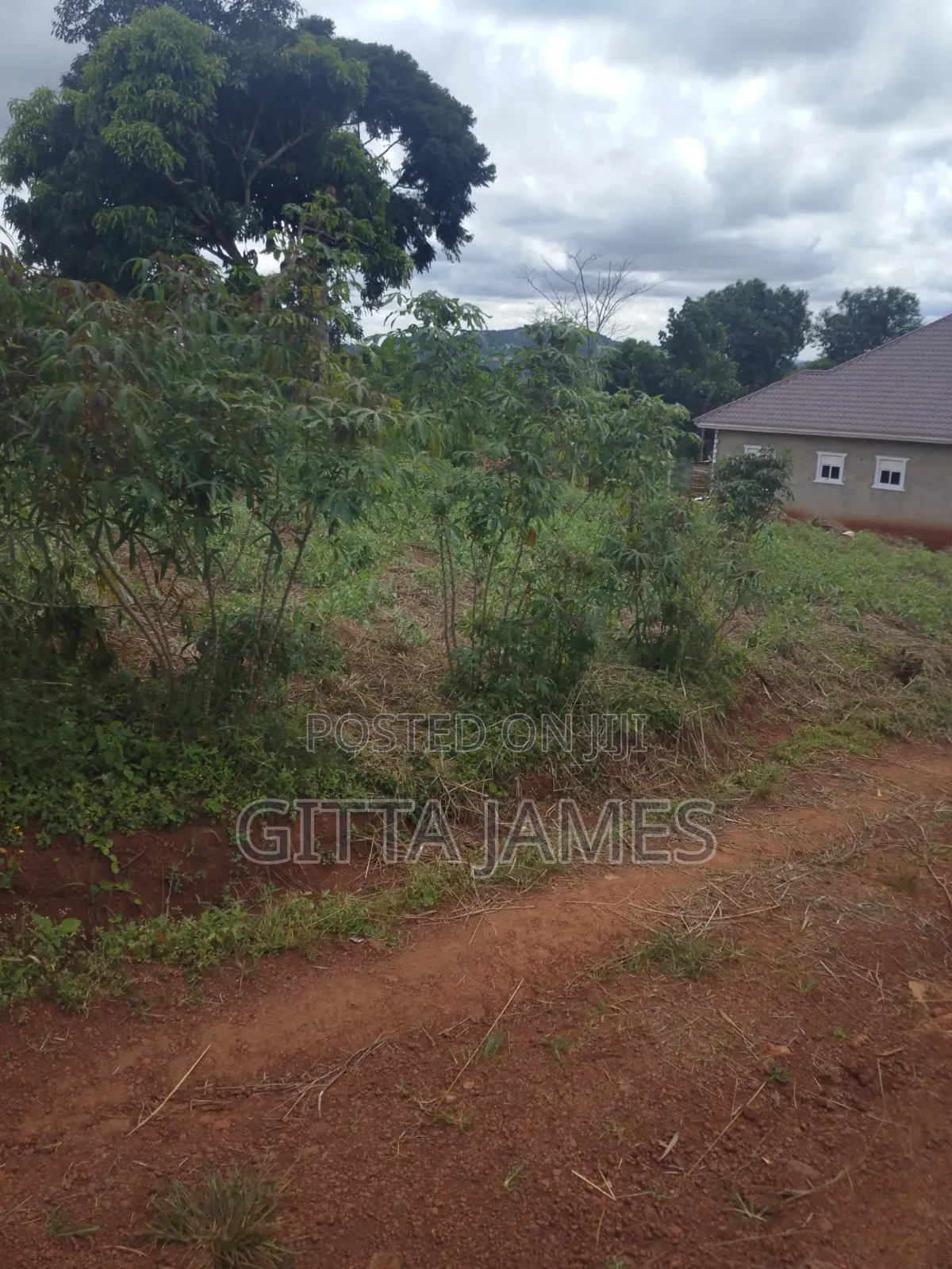 100by100ft Land on Sale in Kisoga Mukono Private Mailo Land Title