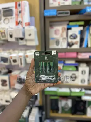 Greenlion 4pack Usb-C Triple a Lithium Rechargeable Batteries