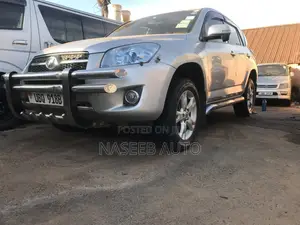 Toyota RAV4 2009 Silver