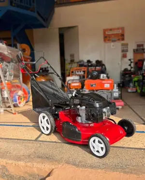 Gasoline-Powered Walk-Behind Lawn Mower