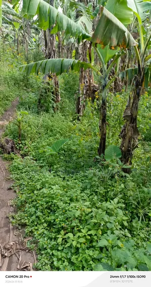 80x250ft Plot For Sale In Bwabya, Fort Portal City.
