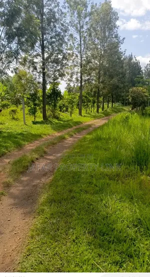 80x250ft Plot For Sale In Bwabya, Fort Portal City.