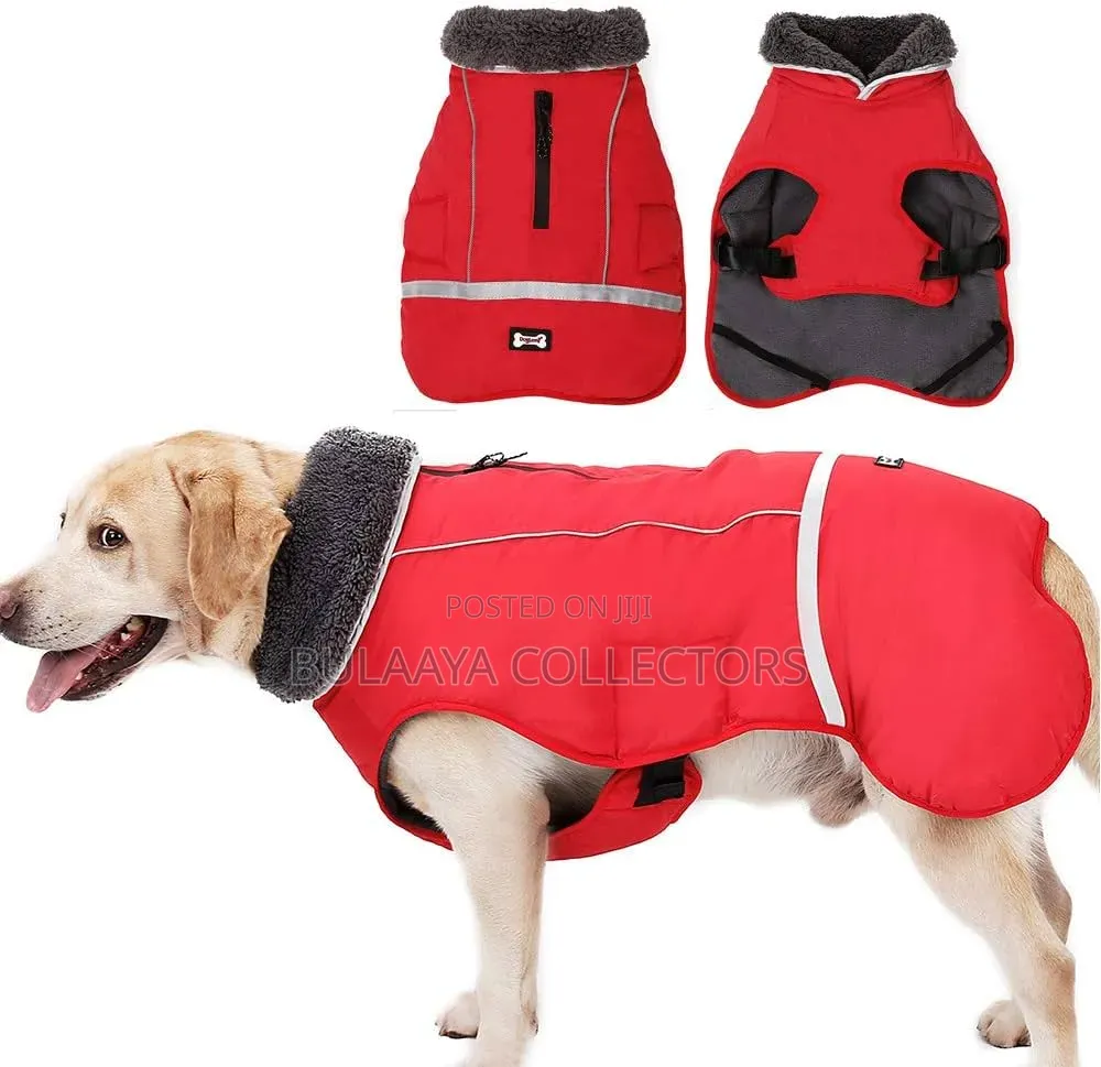 Uk Used Doglemi Brand Red Waterproof Winter Jacket for Dogs.