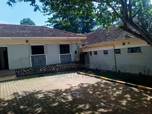 4bdrm Bungalow in Kololo Property, Central Division for rent