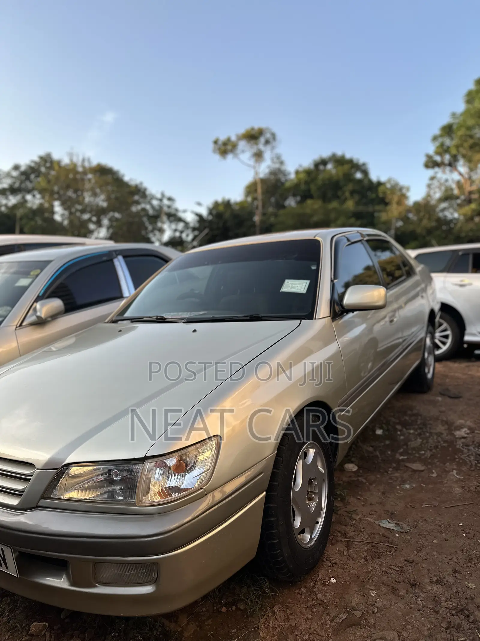 Toyota Corona Premio 1999 Silver