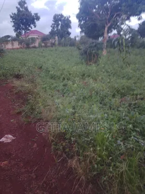 Hilltop Plot 100by100ft on Quick Sale by Owner With Ready Title Kisoga