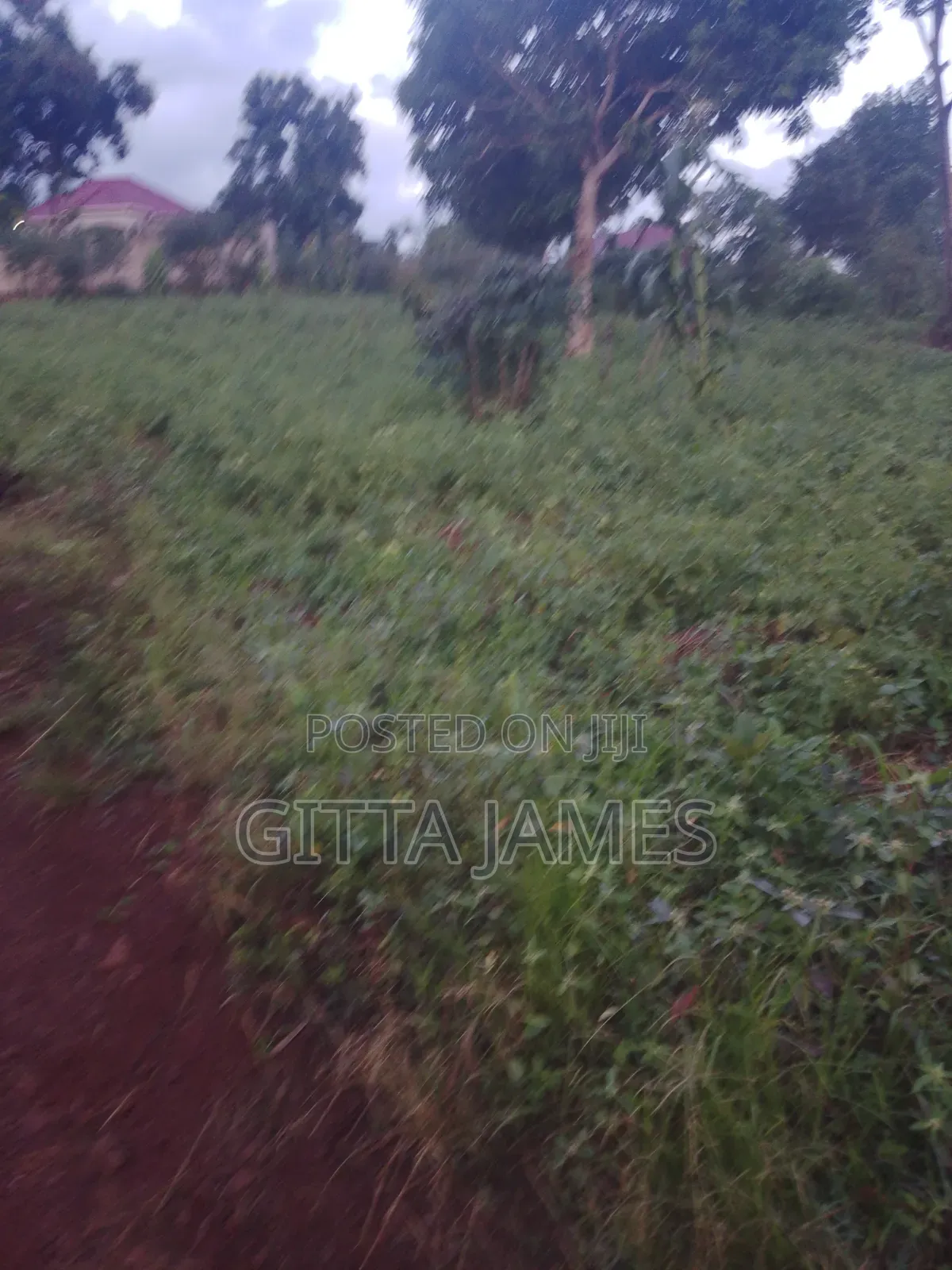 Hilltop Plot 100by100ft on Quick Sale by Owner With Ready Title Kisoga