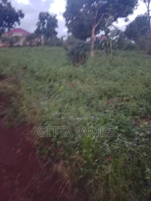 Hilltop Plot 100by100ft on Quick Sale by Owner With Ready Title Kisoga