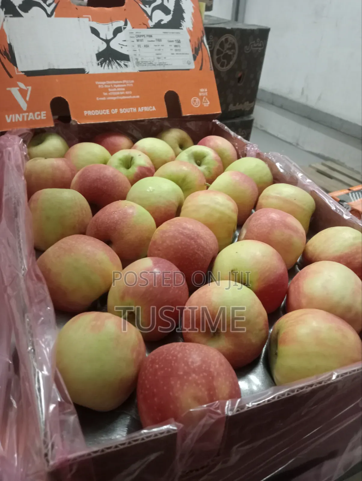 Fresh Fruit