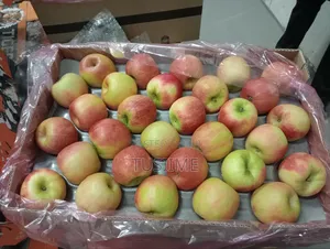 Fresh Fruit