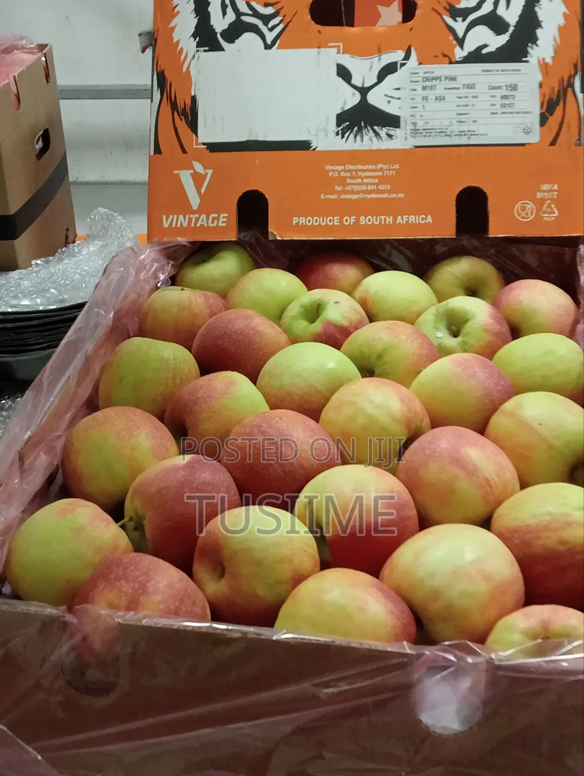 Fresh Fruit