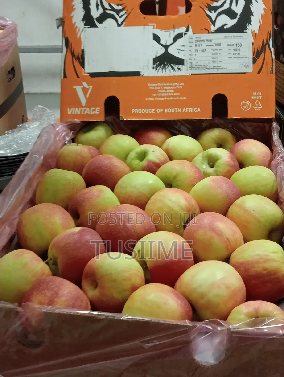 Fresh Fruit