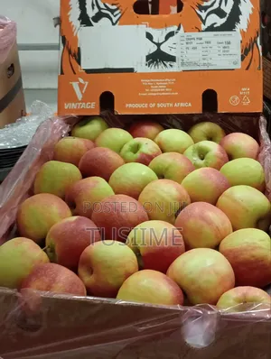 Fresh Fruit