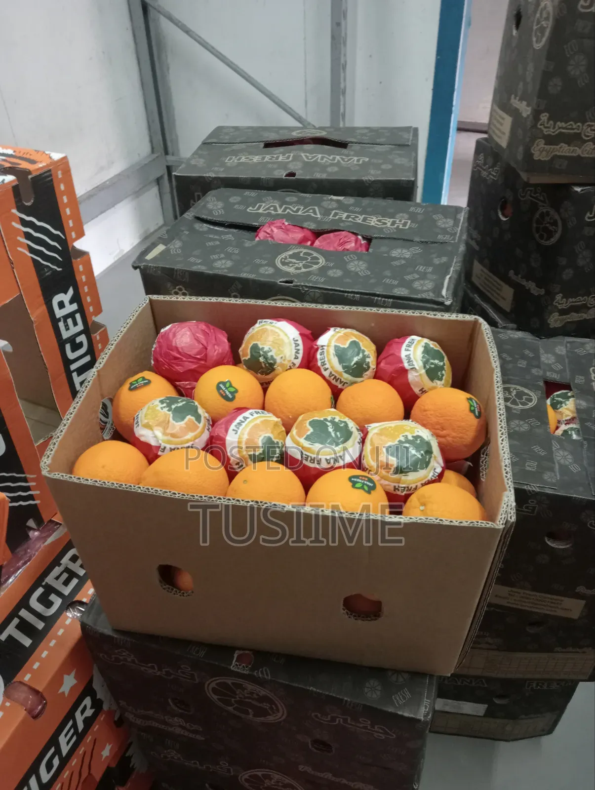 Fresh Fruit