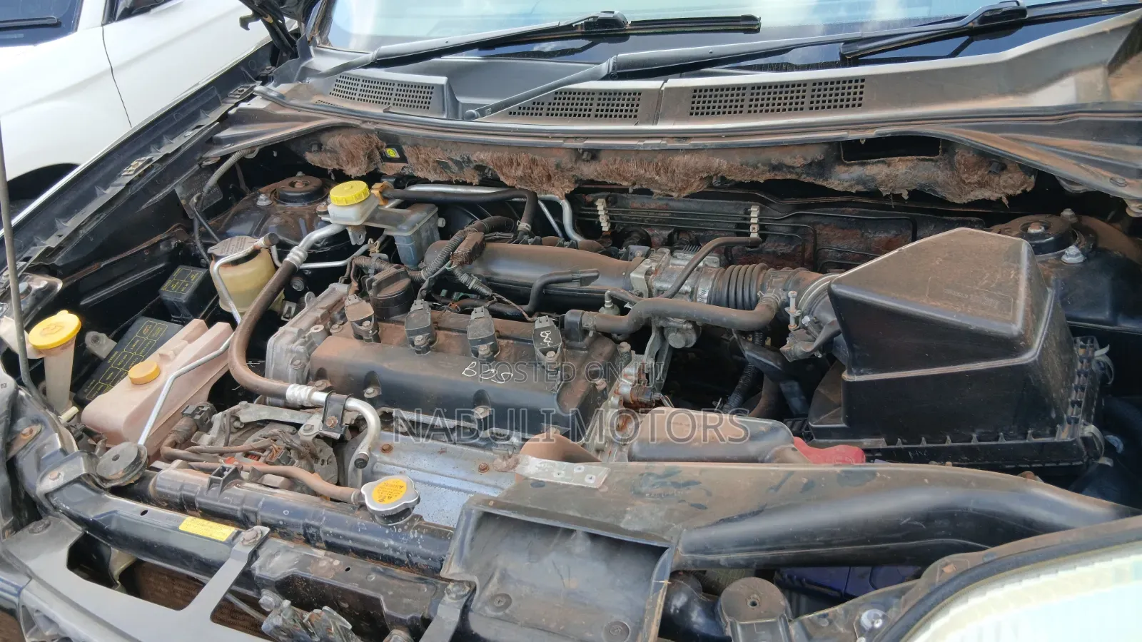 Nissan X-Trail 2004 Black