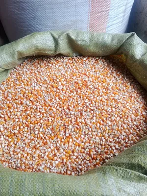 Quality Popcorn