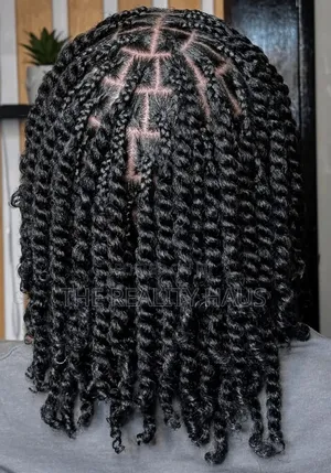Natural Twists / Protective Hairstyle