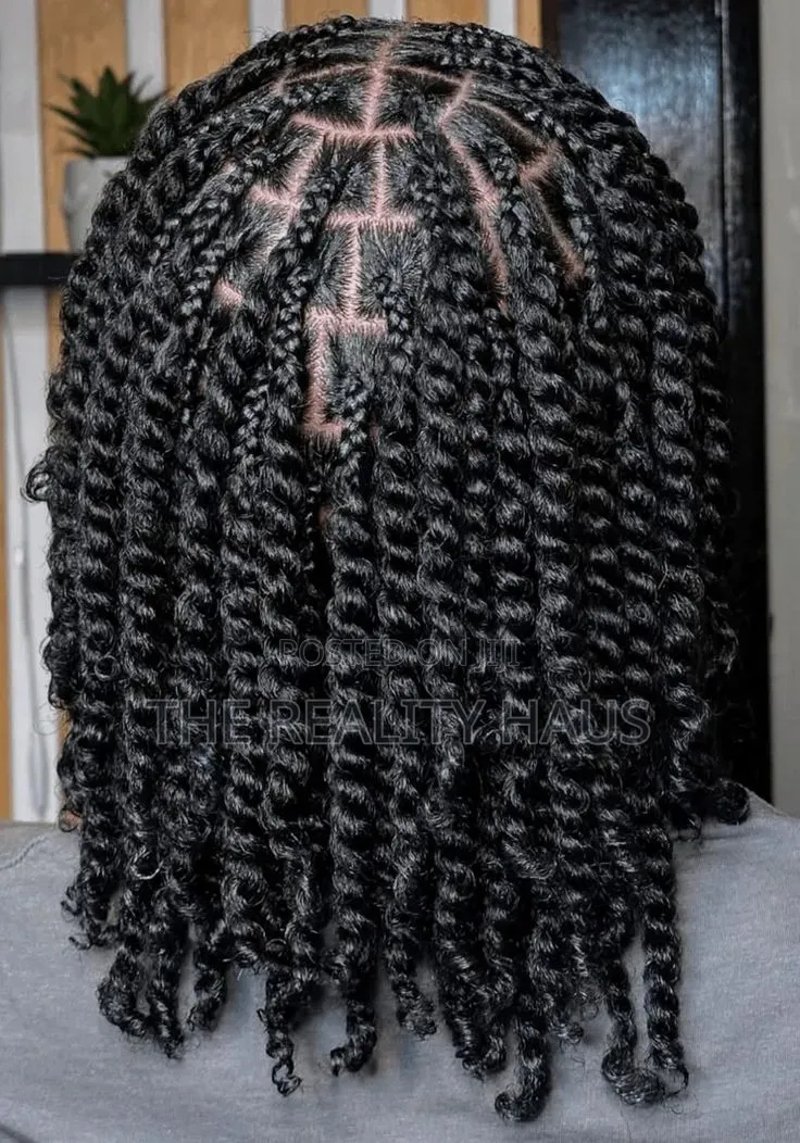 Natural Twists / Protective Hairstyle