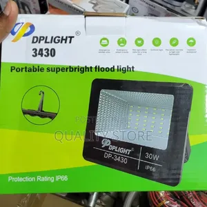 Dplight Portable Super Bright Flood Light 3430