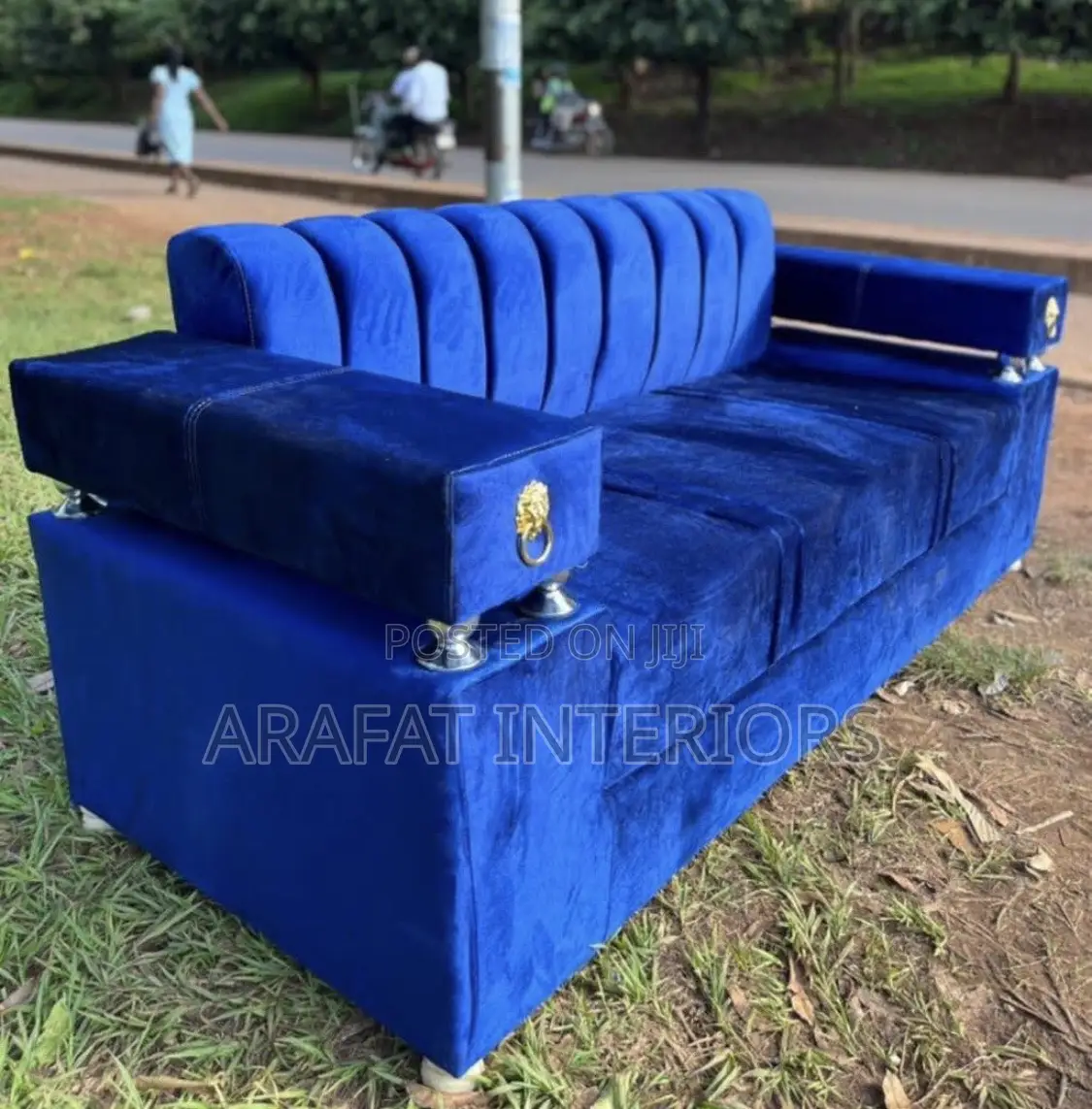  Make a Bold Statement With Our Royal Lion Velvet Sofa!