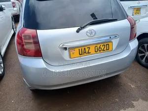 Toyota Allex 2004 Silver